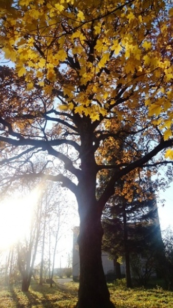 Vaizdas:Rudens blyksnis 131.jpg