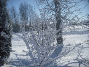 2010 m. kovo 15 d.- pavasaris