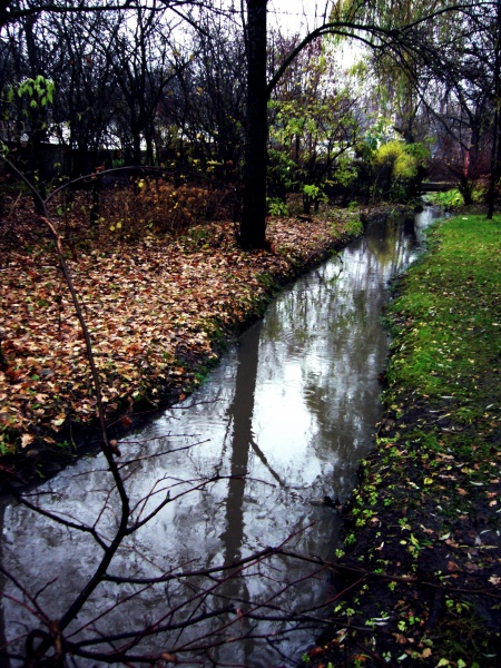Vaizdas:Upeliūkštis Marijampolės parke 656.jpg