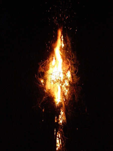Vaizdas:Lauzas 1 710.jpg