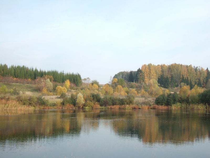 Vaizdas:Stirniškių 176.jpg