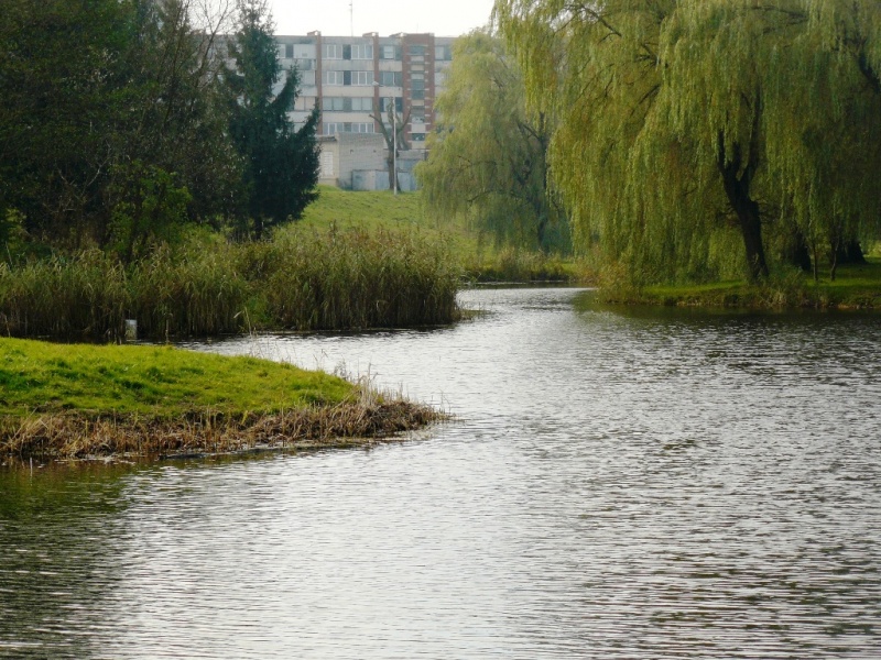 Vaizdas:Šešupės vingiai 427.jpg