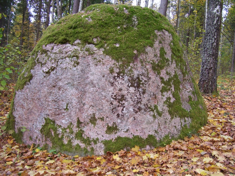 Vaizdas:Archeologijos paminklas "Ožakmenis", Rokiškio raj. 426.jpg