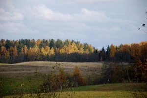 Kaniūkų k.Utenos r.