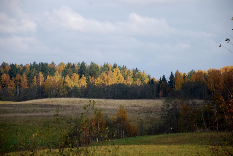 Vaizdas:Gamta keičia rūbą 489.jpg