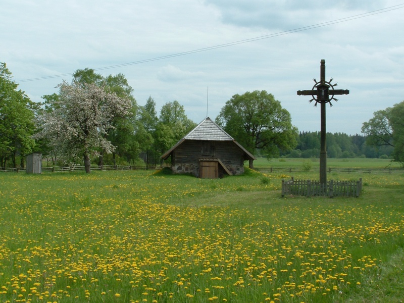 Vaizdas:F-maironyneDSCF0046.JPG