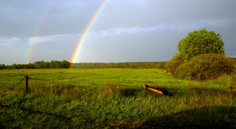 Vaizdas:Gėrė žemė lietų 804.jpg