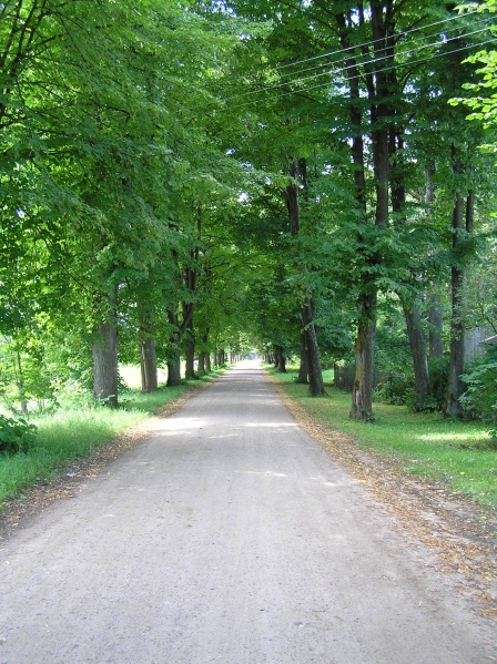 Vaizdas:Pagėgiai. Liepų alėja 190.jpg