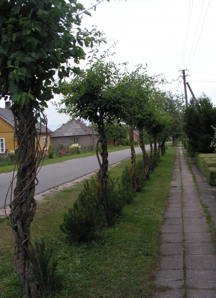 Vaizdas:Gatvės sargybiniai 107.jpg