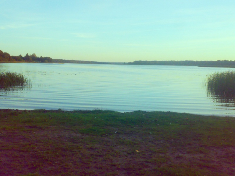 Vaizdas:Ramybė prieš audrą 585.jpg