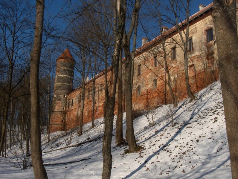 Vaizdas:Vytėnų pilis žiemą 95.jpg