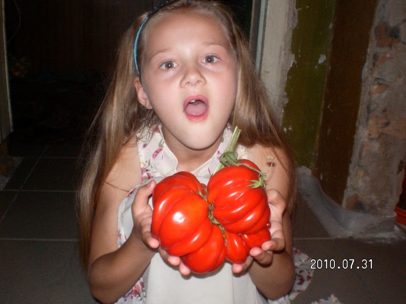 Vaizdas:Pomidoras 741.jpg