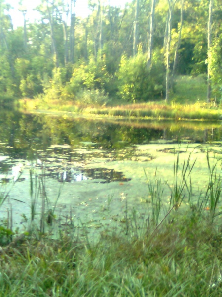 Vaizdas:Prudukas 699.jpg