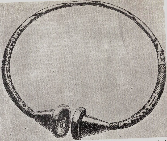 Vaizdas:C-Documents and SettingsBibliotekininkasDesktopPav. ikelimuiV KAmpo antkakle.jpg