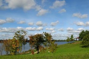 Kupiškio marių saloje. Nuotr. Vigilijos Grigienės