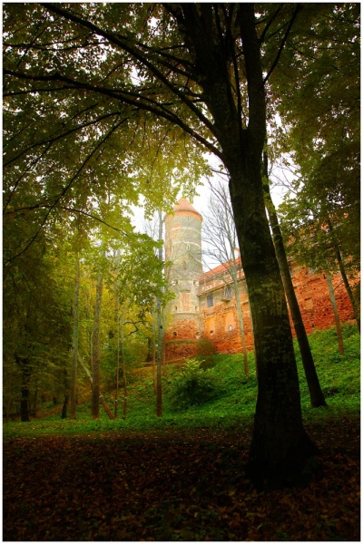 Vaizdas:Panemunių pilys 211.jpg