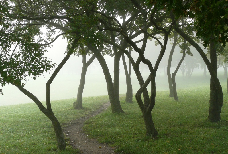 Vaizdas:Kalniečių parkas 616.jpg