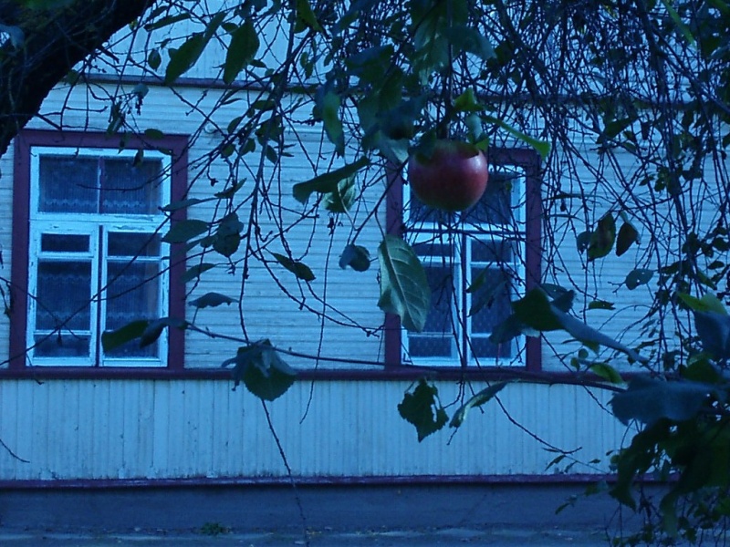 Vaizdas:Pa100146 563.jpg