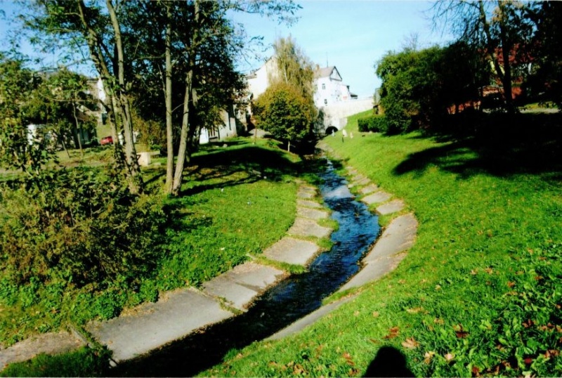 Vaizdas:Ukmergėlė su plokščių šarvais. 785.jpg