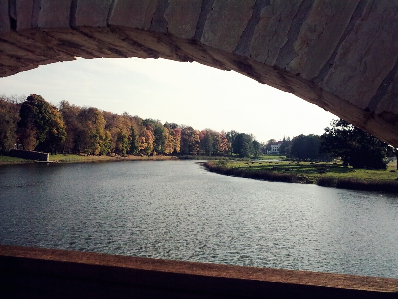 Vaizdas:Rudens paletė 712.jpg