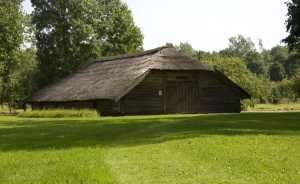 Aukštaitijos kluonas. Rokiškis