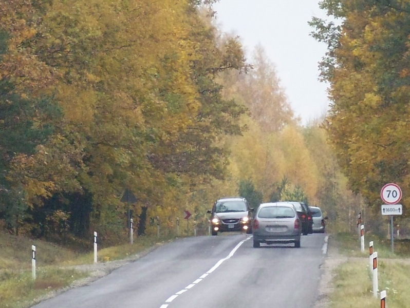 Vaizdas:Rudeniskas greitis 107.jpg
