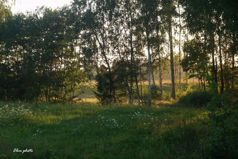 Vaizdas:*** 719.jpg