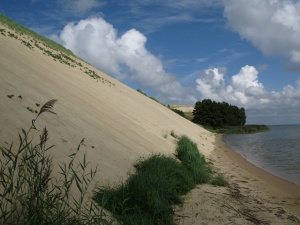 kopos