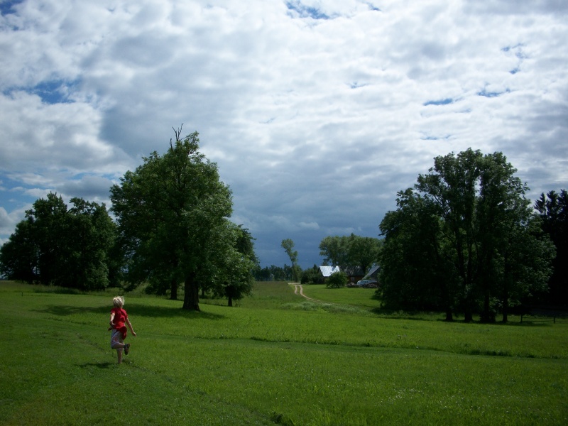 Vaizdas:Vaikystės pieva 450.jpg
