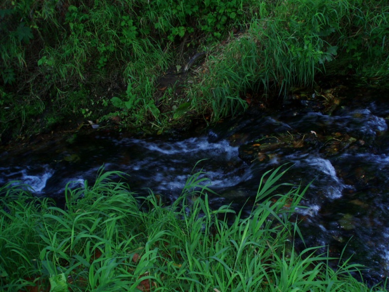Vaizdas:Ciurlenimas 589.jpg