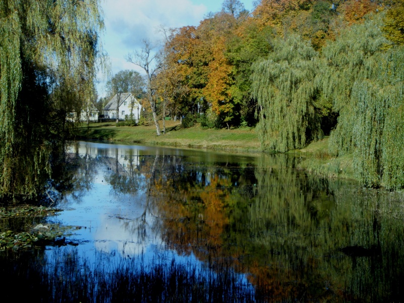 Vaizdas:Kretingos Žiemos sodo parkas 754.jpg
