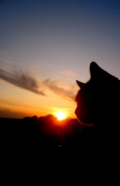 Vaizdas:Sunset 853.jpg