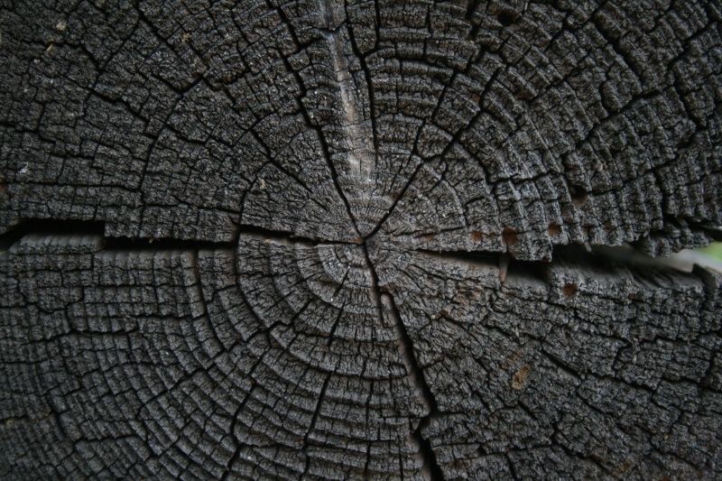 Vaizdas:11 144.jpg