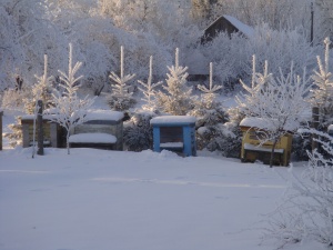 Mažeikių raj.