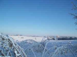 Laukų platybėse