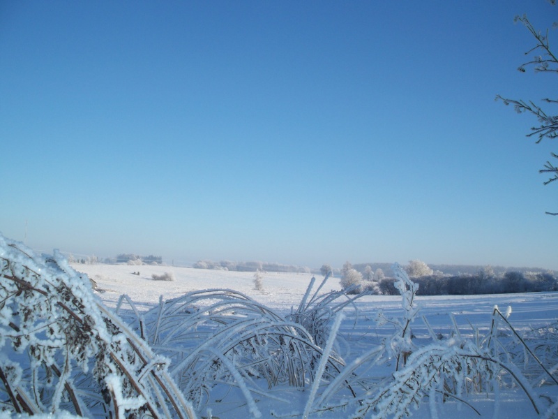 Vaizdas:Laukų platybėse 644.jpg