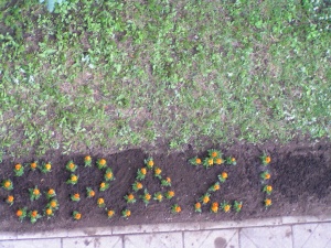 Gėlynas