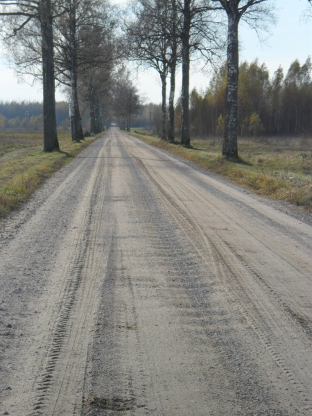 Vaizdas:Galzdonų vieškelis 991.jpg