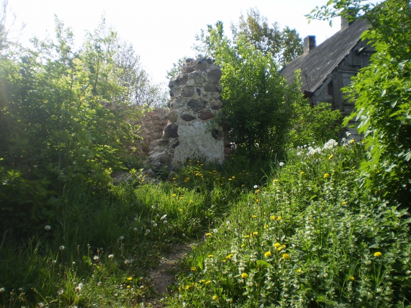 Vaizdas:Vaizgučių dvaras 561.jpg