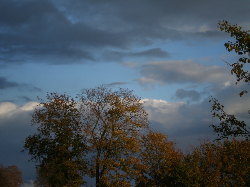 Vaizdas:Mažeikių rajono Letenių kaimo vaizdai 452.jpg
