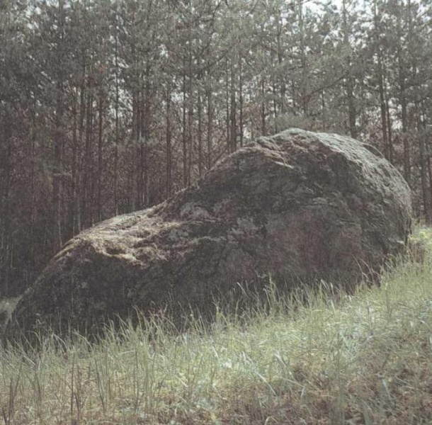 Vaizdas:Didysis-Dzukijos-akmuo-2.jpg