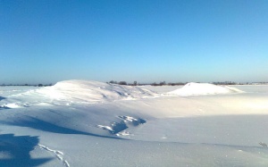 Pabraidykim po pusnis. Medvišių kaimas, Prienų raj