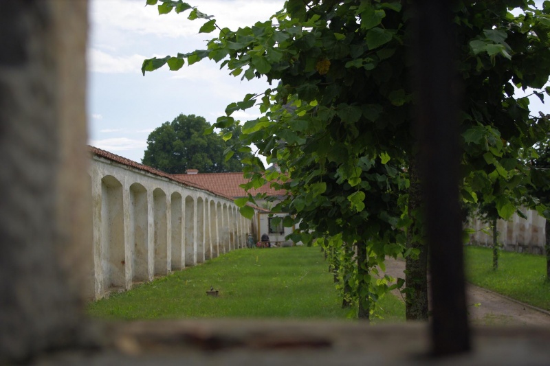 Vaizdas:Pazaislis 838.jpg