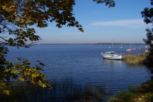 Nemune