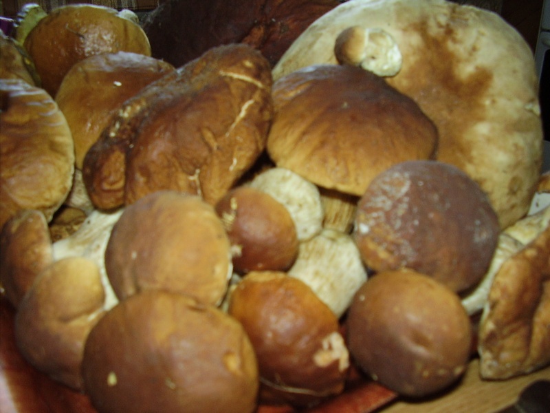 Vaizdas:12. Karšuvos gėrybės 415.jpg