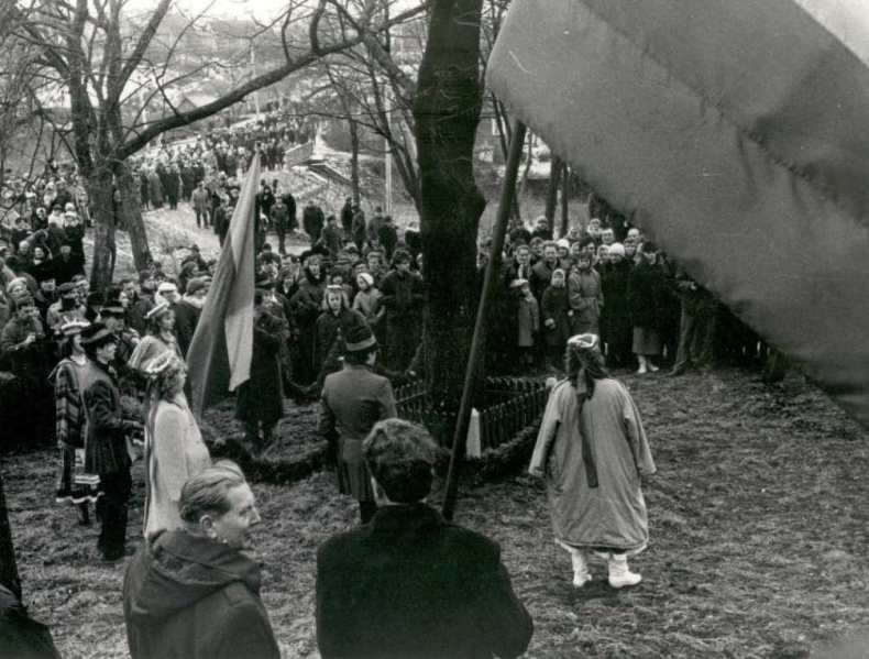 Vaizdas:Mitingas prie nepriklausomybes azuolo.jpg