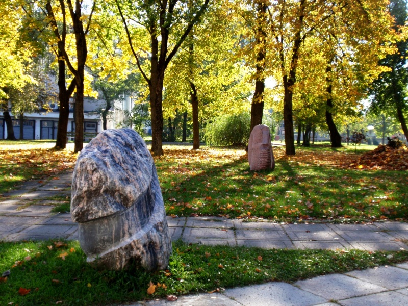 Vaizdas:Rudens kiaušiniai 250.jpg