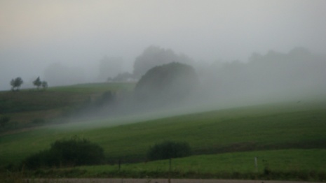 Vakaro rūkas gaubia visą dangų,ateina nakties tyla