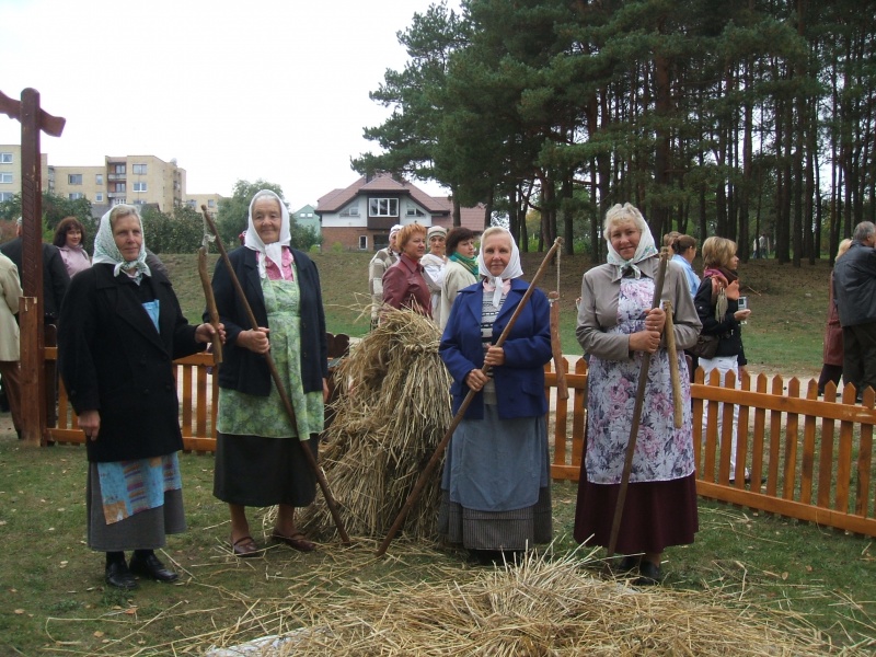 Vaizdas:C-Documents and SettingsKompiuterisDesktopkir3.JPG