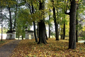Kelmės r. Šaukėnai. Ruduo parke